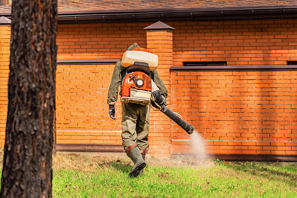 Trusted Ant Control service in Ingalls Park, IL - Nex Pest Control